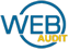web audit